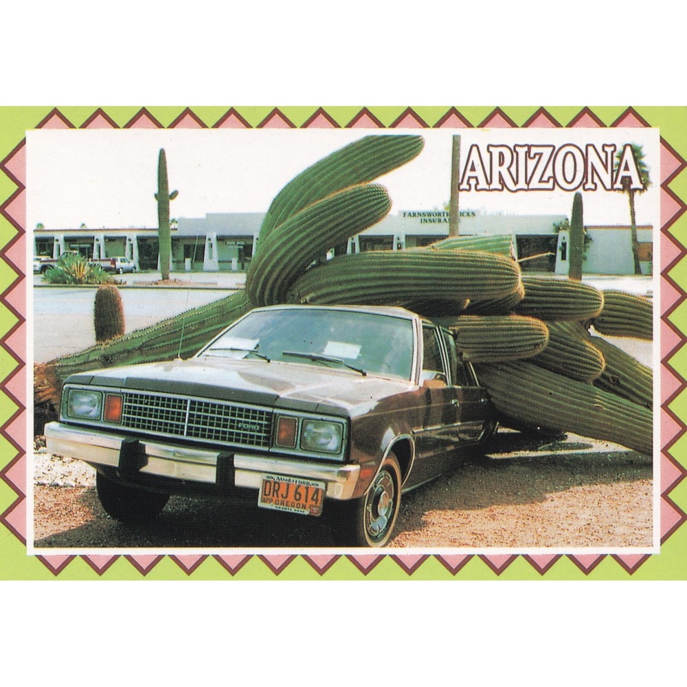 Arizona 10,000 Lb Saguaro Cactus Cadillac Postcard Retro Western Roadside